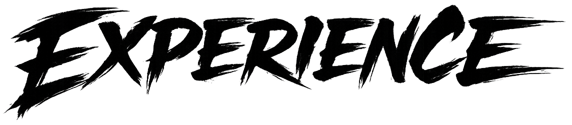 Experience — previous companies